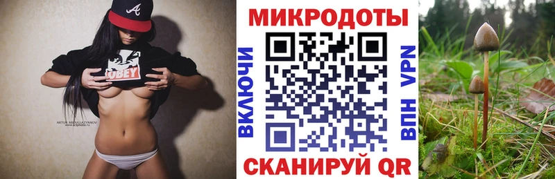 Галлюциногенные грибы Psilocybe  Ермолино 