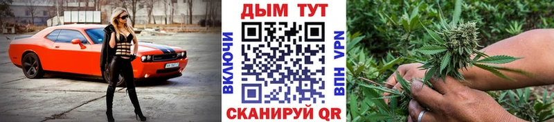 Марихуана сатива Ермолино
